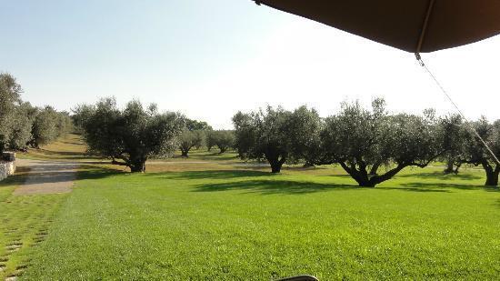 La Pecora Ladra Appartamenti Montalto di Castro Buitenkant foto