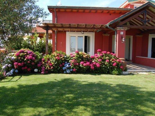 La Pecora Ladra Appartamenti Montalto di Castro Buitenkant foto